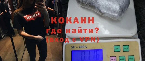 индика Новокубанск