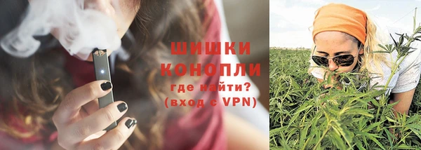 индика Новокубанск