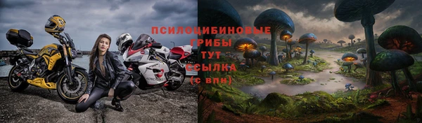 индика Новокубанск