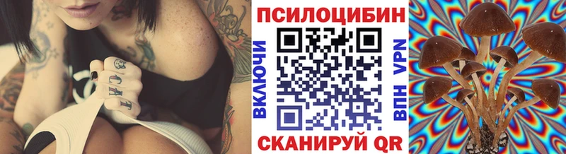 Псилоцибиновые грибы мицелий Купить закладки Щёлково